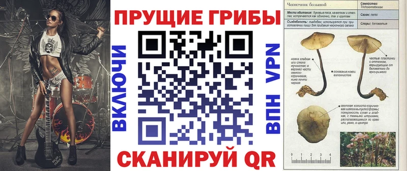 Псилоцибиновые грибы Cubensis Новомосковск