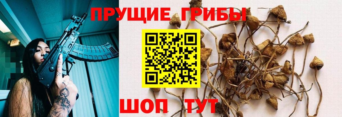 Галлюциногенные грибы Magic Shrooms  Вход с VPN  Новомосковск 
